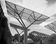 Etiam dictum egestas