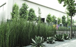 Foro 10 Azteca Novelas