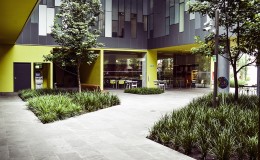 Foros Azteca Novelas Cafeteria