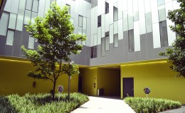 Foros Azteca Novelas Entrada