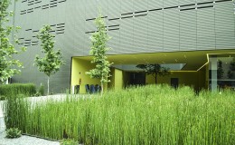 Foros Azteca Novelas Jardin