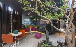 design_house_mexico_2015_intervencion_pedro_sanchez_paisajismo