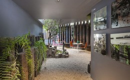 design_house_mexico_2015_roof_garden