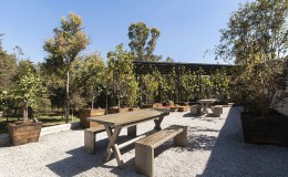 pedro_sanchez_museo_tamayo_bancas