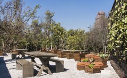 pedro_sanchez_museo_tamayo_espacio