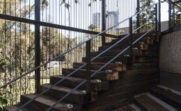 pedro_sanchez_museo_tamayo_vertical